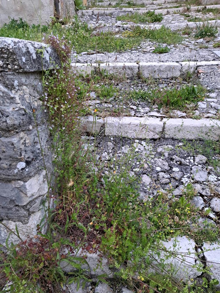 Viabilit e strade