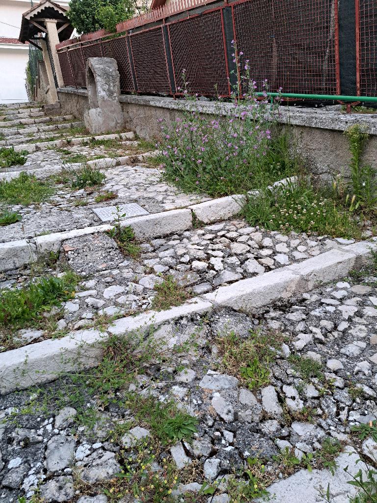 Viabilit e strade