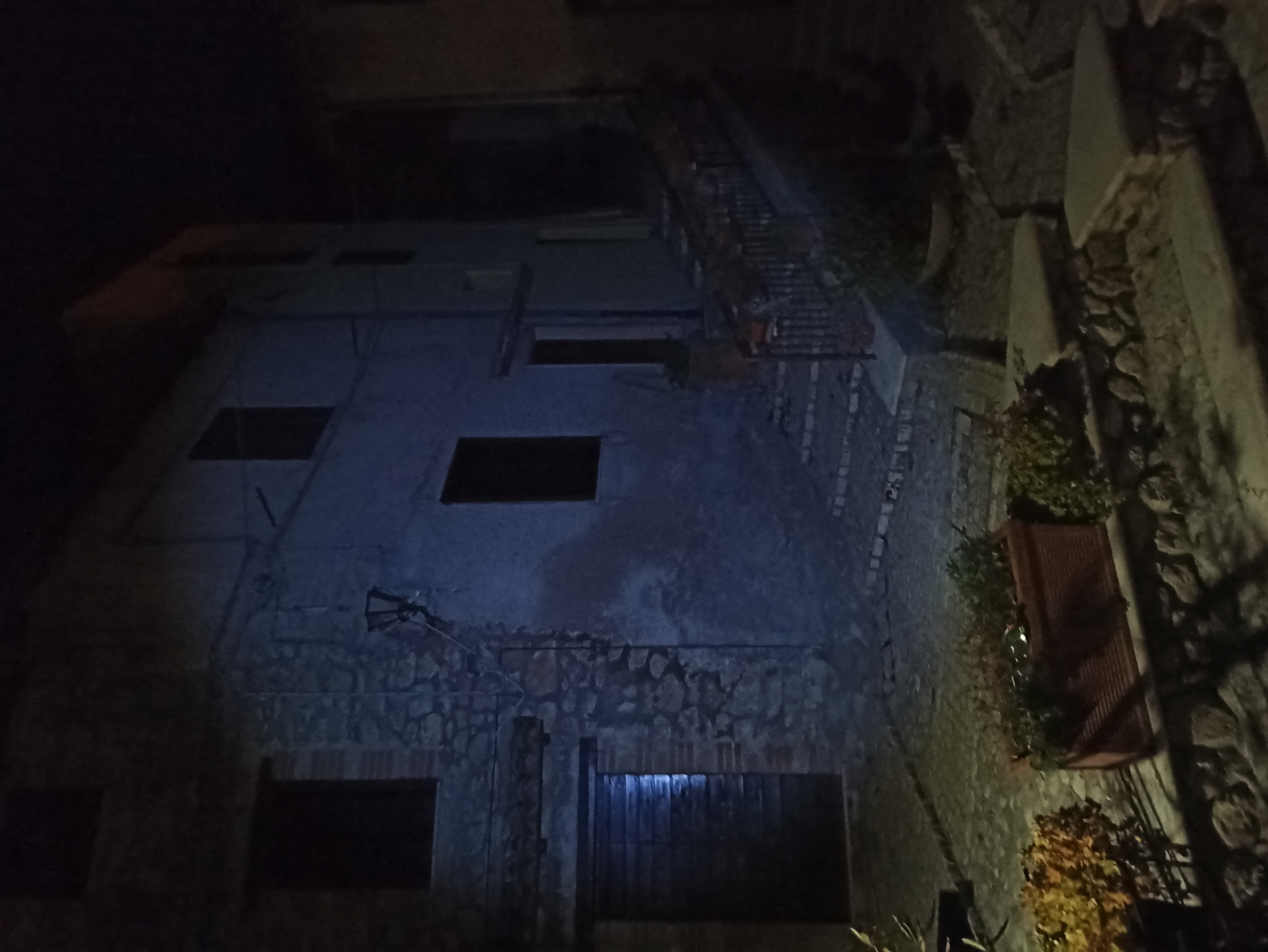 immagine allegata della segnalazione