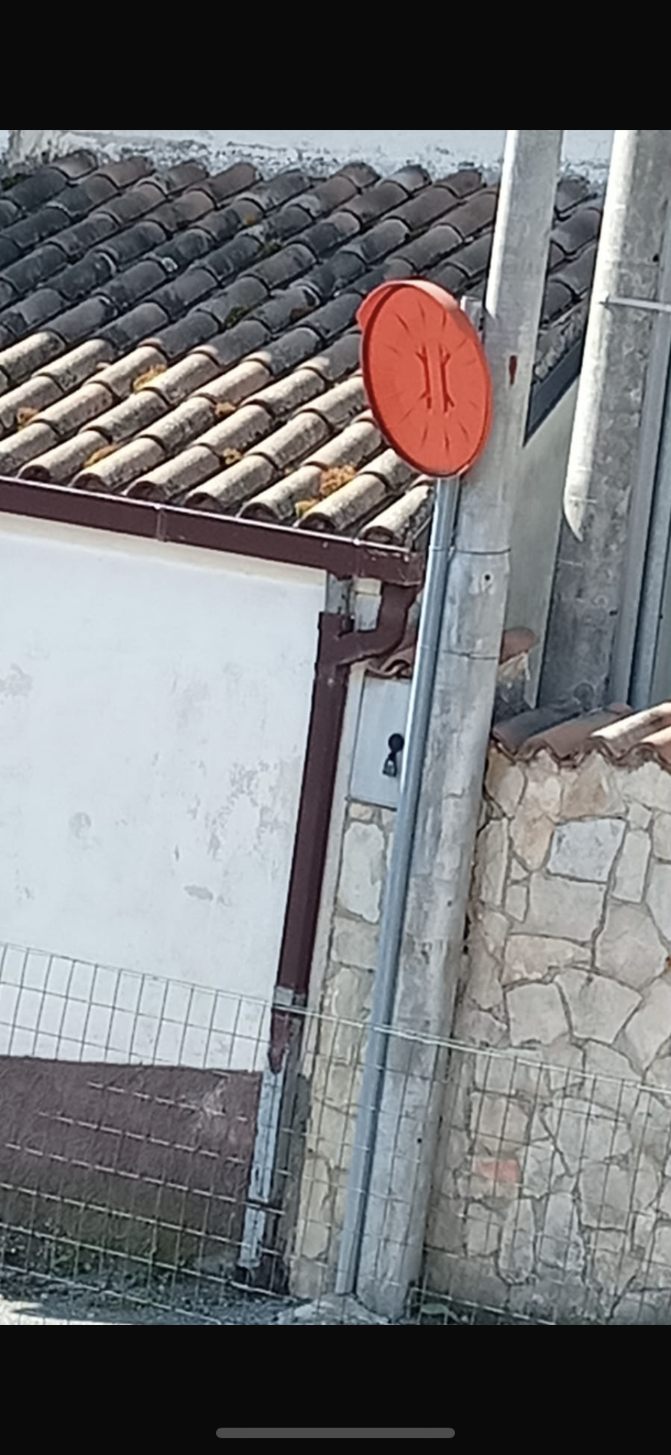 immagine allegata della segnalazione