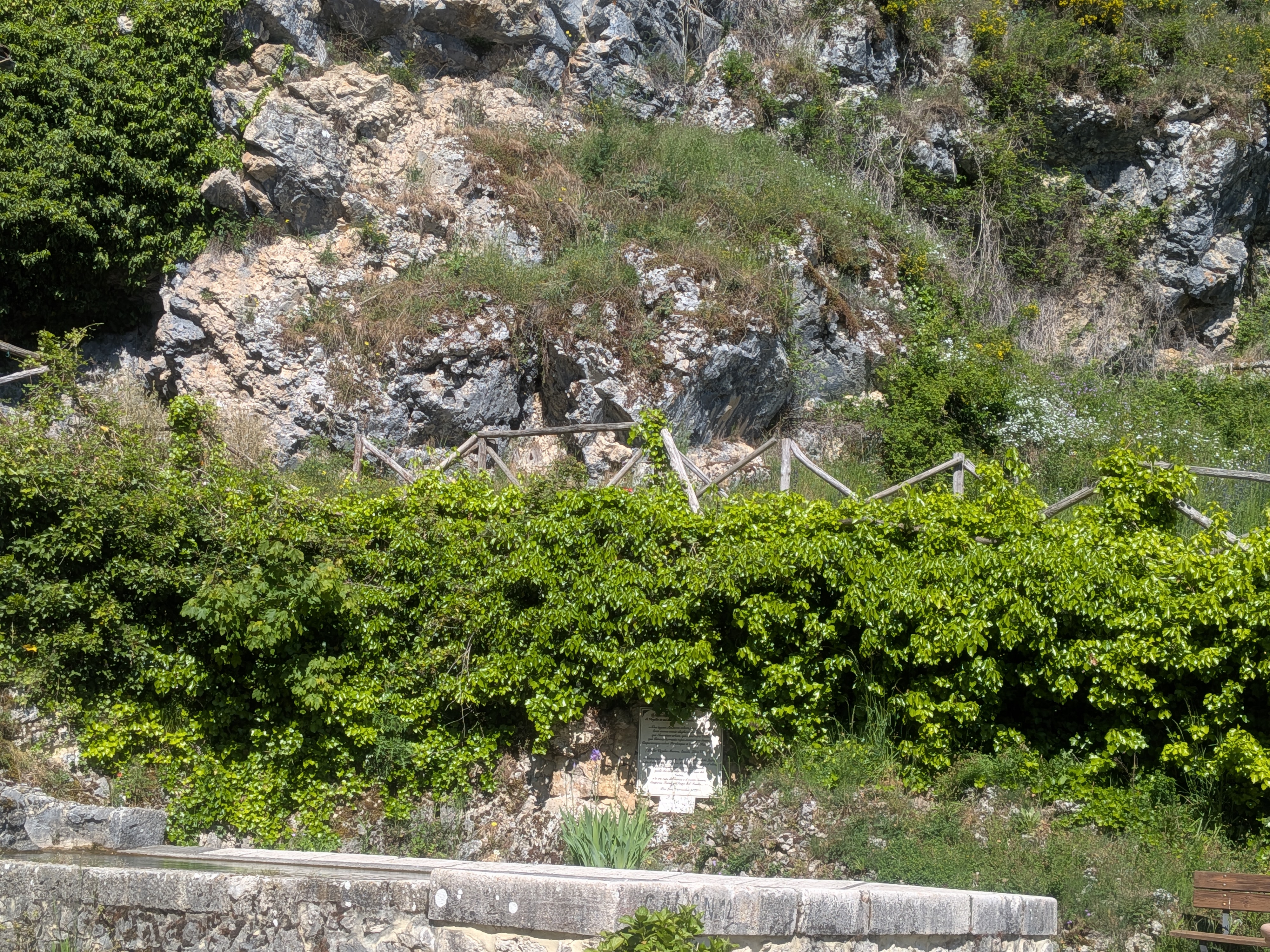 immagine allegata della segnalazione
