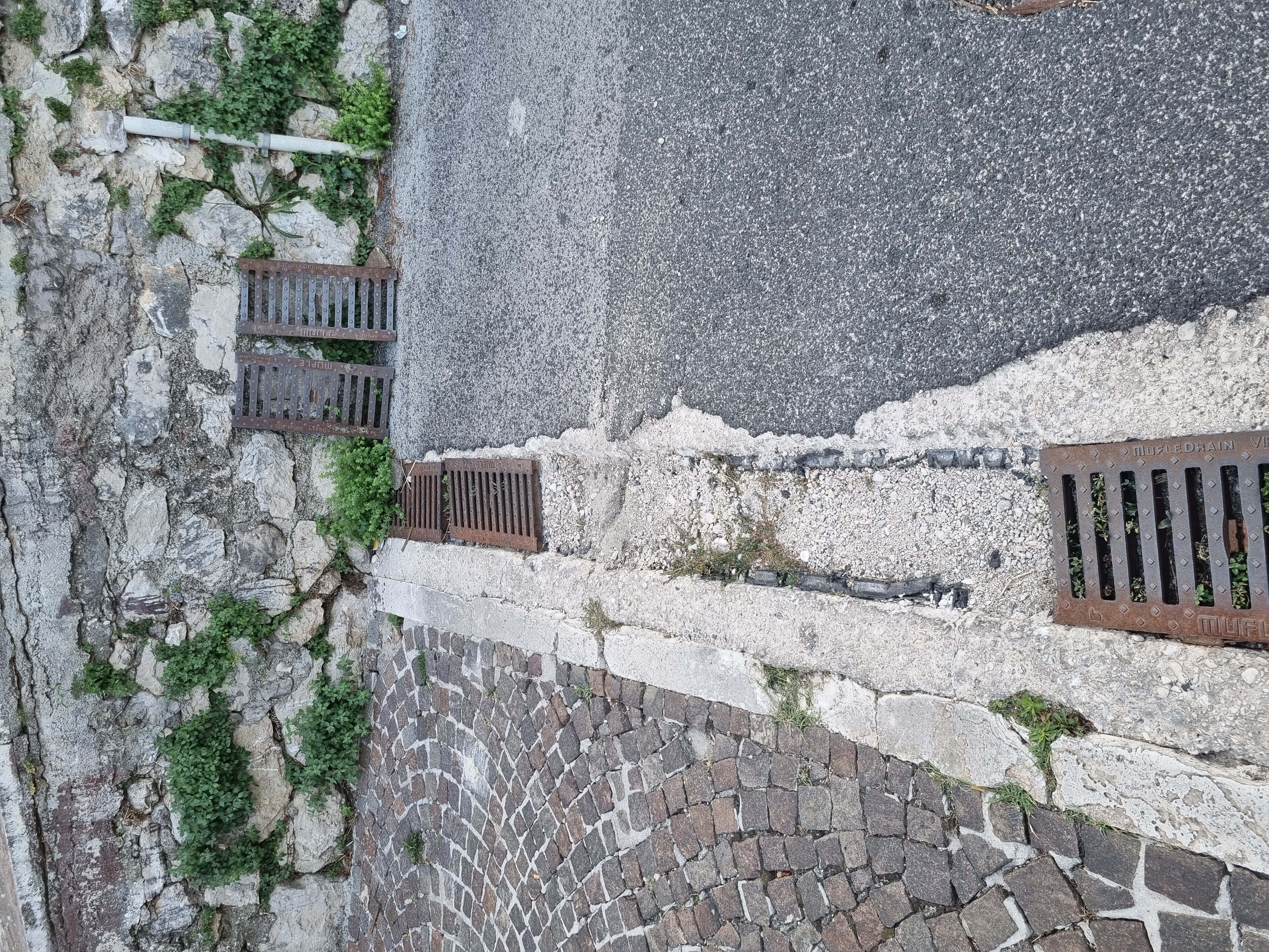 immagine allegata della segnalazione