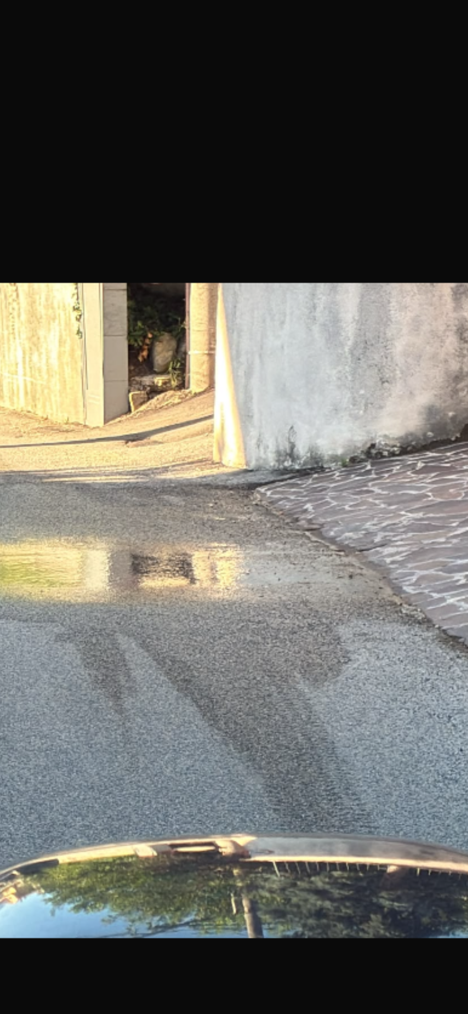 immagine allegata della segnalazione