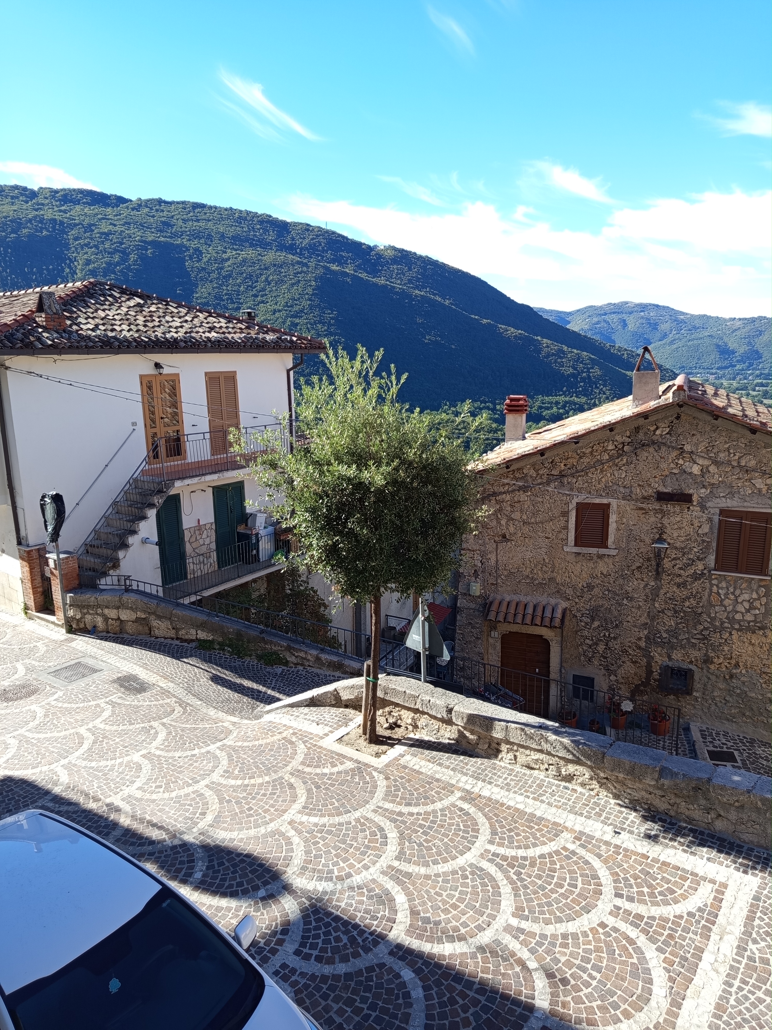 immagine allegata della segnalazione