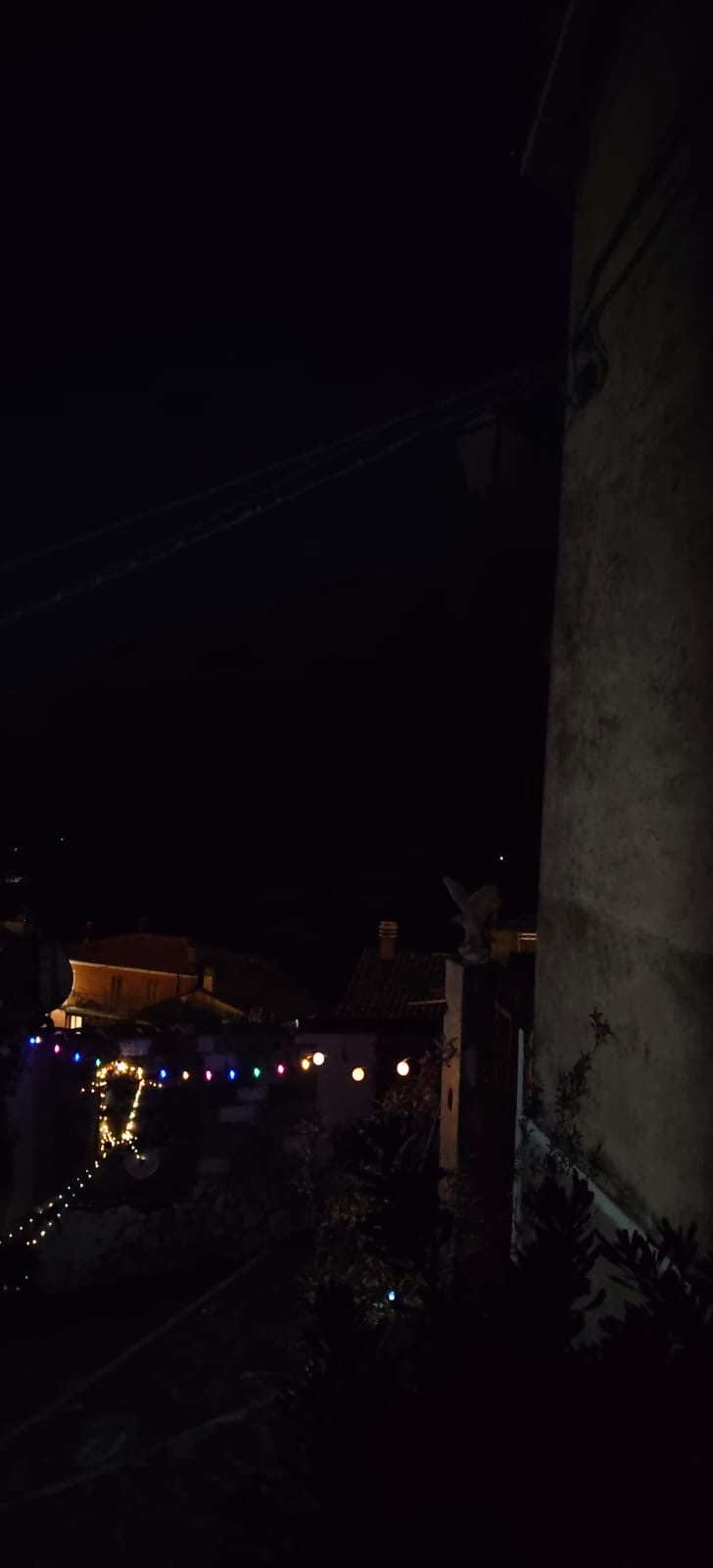 immagine allegata della segnalazione
